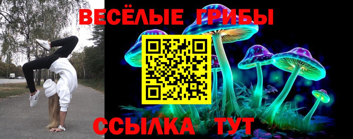 купить   Вход с VPN  Скопин  Галлюциногенные грибы Magic Shrooms 