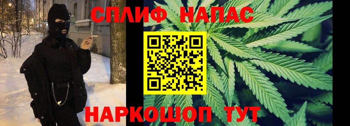 Каннабис марихуана Скопин